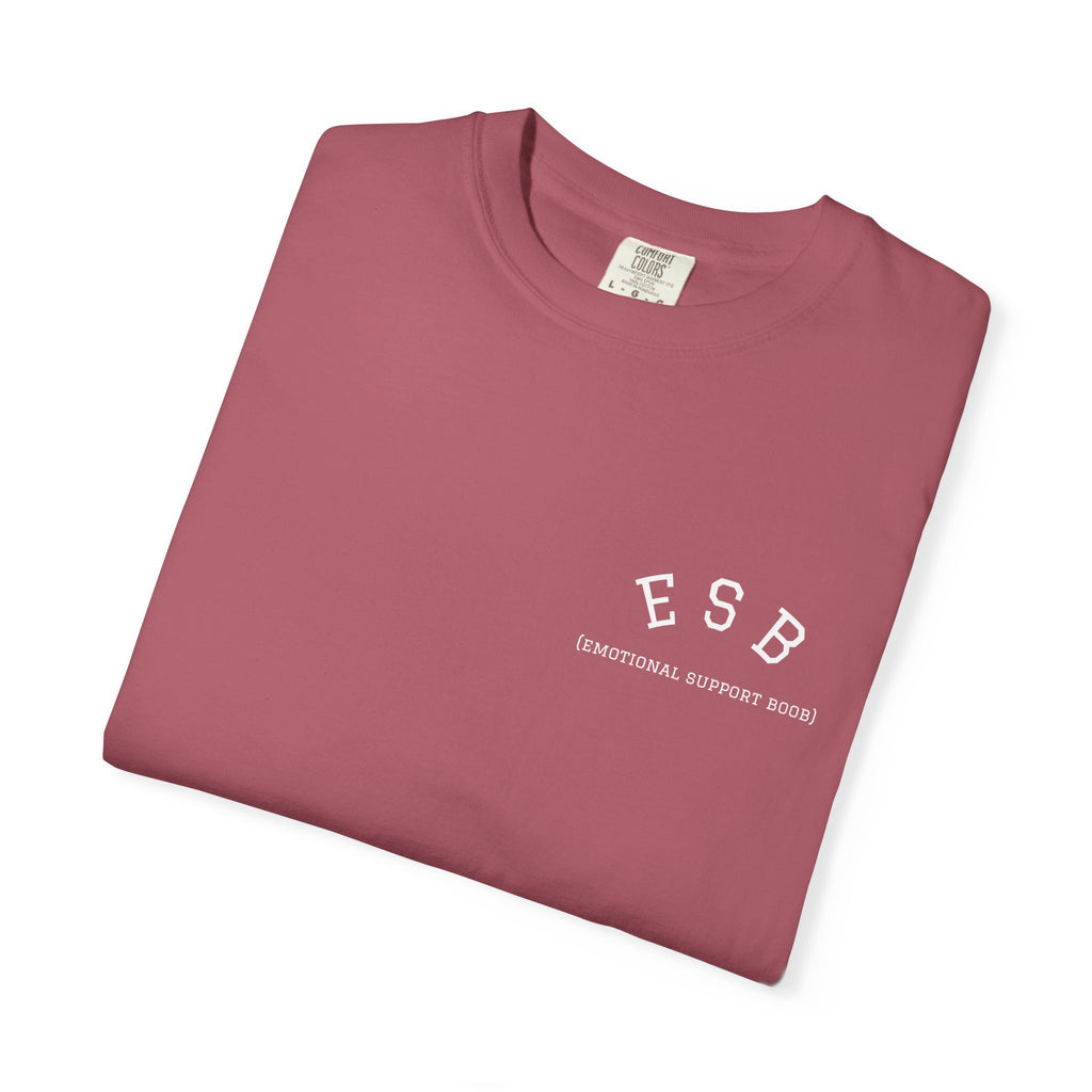 Certified ESB- TShirt